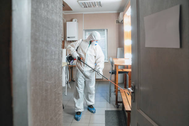Best Mold-Related Health Consultation  in Ravenswood, WV
