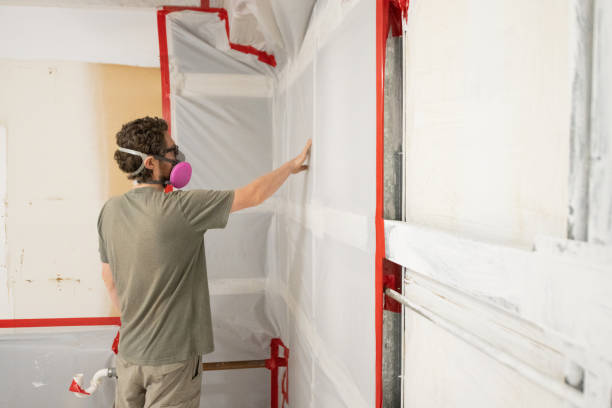 Best Water Damage & Mold Remediation  in Ravenswood, WV