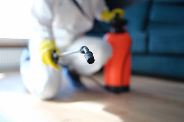 Mold Remediation for Vacation Homes in Ravenswood, WV
