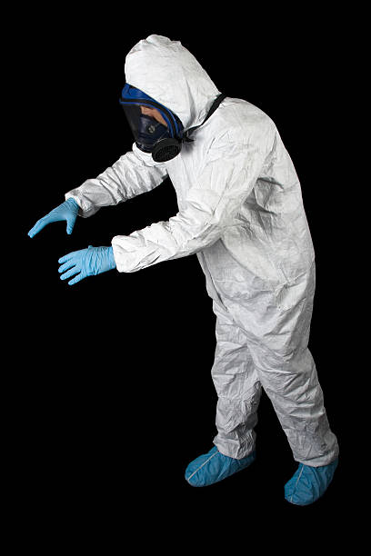 Professional Mold Removal in Ravenswood, WV