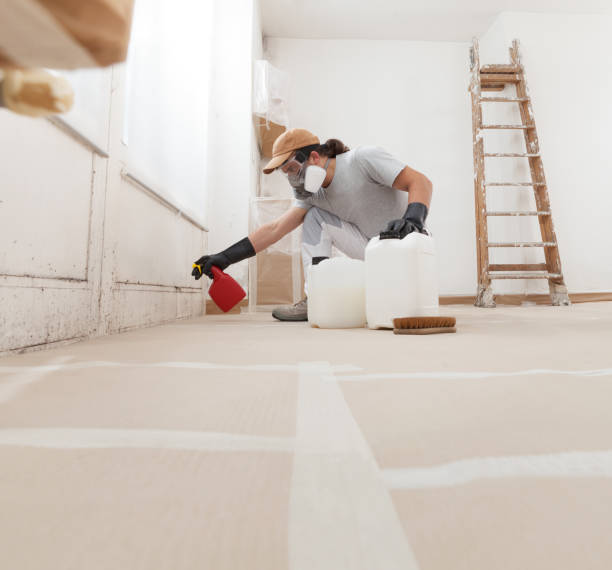 Environmental Consulting for Mold Prevention in Ravenswood, WV